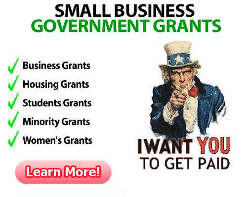 Government Grant - Government Grant
