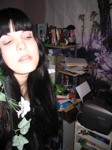 November 3rd 2006 - In my room with my plastic garland and my huge razterbated version of an Arthur Rakham illustration.