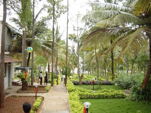 college - this is my MBA college which is lush green.