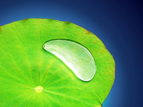 Water on leaf - an awesome picture
