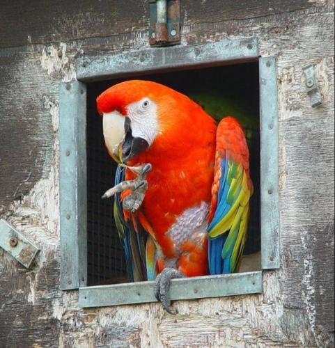 beauty of nature - the nature provide cute sean ,and she creat allot of