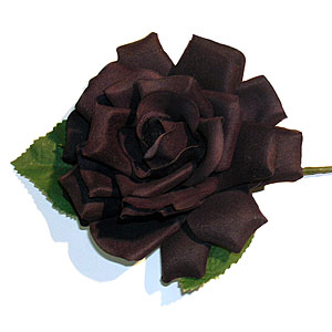 black rose - this is a flower that i like a lot. its the black rose