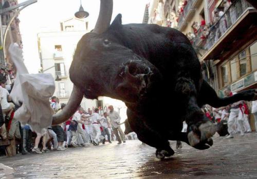 Bull fight - This is how bulls are made to run around in streets and provoked to attack players! they might get hurt for no reason, and surely against their wishes!

As in this picture, we can see the poor bull off balance and about to fall on the ground!