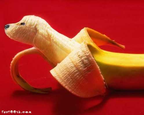 banana dog - This was made by hand. It looks very cute and attract ladies and children.