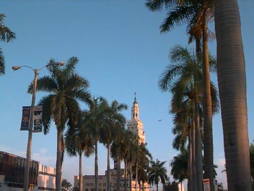 Miami place - This is nice picture