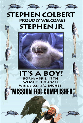 Stephen Jr. - Welcome Stephen's son:  a baby eagle named Stephen Jr.
