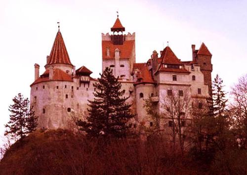 Dracula castle - This is the castel, inside is scary.