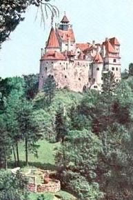 Castle - This picture is from another ungle