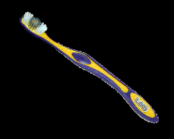 how often do u change - tooth brush replacement