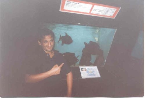 me under the influence - i'm pointing at a tank at an aquarium in Alexandria,Egypt with a piranha inside .