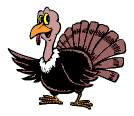 turkey - turkey