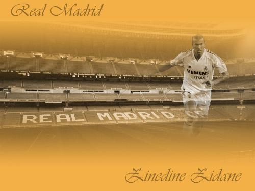 zinedine zidane - The one!