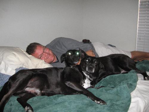 Our Boys - Our dogs (Max, and Max), and Brian