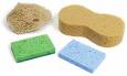 Assortment of Sponges - Sponges Assortment of Sponges - Sponges