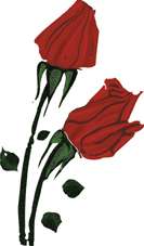 Rose - Romantic Red rose