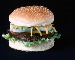 Hamburger - Taken from personal collection of IMSI software purchased by me.  I have permission to use the pictures in this collection as I wish.