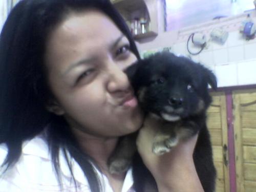 my dog herbie - growing puppy