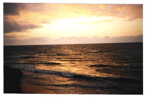 Atacames Beach - Atacames is located at the coast of the pacific 38 km south from esmeraldas city. Atacames always offers the potential of an all day and night party