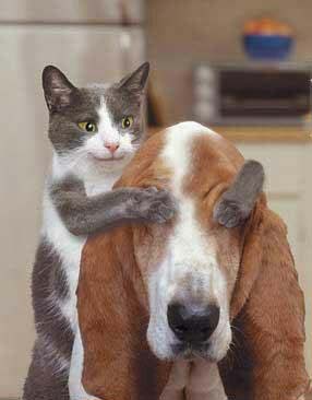 friends - looks so unbelivable!