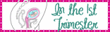 first trimester - I'm in my first trimester