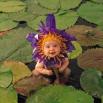 baby flower - cute baby.