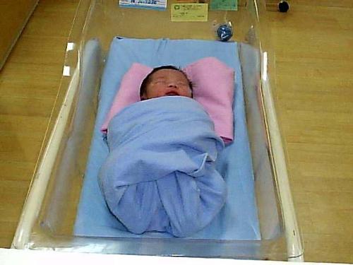 baby - newborn baby