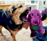 barney - barney, barney, barney..