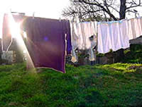Clothesline - A photo of a clothesline.