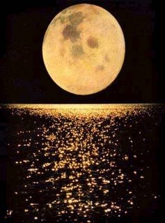 the most attrecting moment - when u r gloomy and having thoughts of ur beloved then moon u look at sky moon will seems like ur beloved, and at that time  moon is the most attracting thing in the whole wide world.