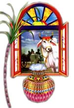 Pongal - This the picture of 'THAMILAR THIRUNAL' i.e. pongal festival.  This day all the peoples of Tamil Nadu will celebrate the day....