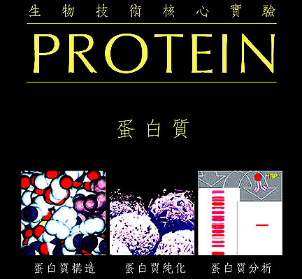 Protein - this photo represents protein.